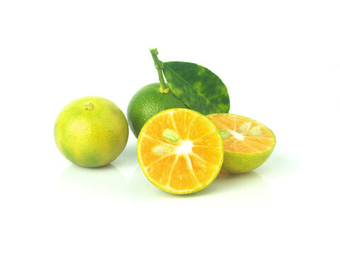 Calamansi