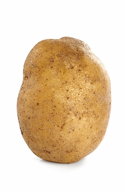 Potato Large