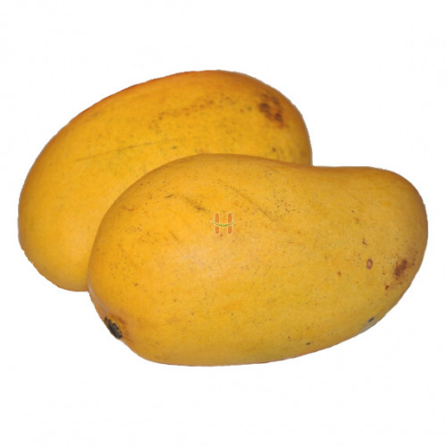 Ripe Mango